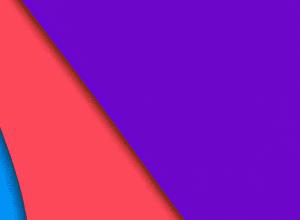 Ensuring Transparency in Elections: What Guarantees Are in Place?