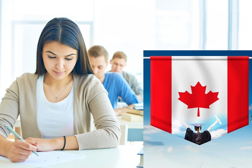 Mastering TEF Canada with French Yard Tips and Strategies to Ace the Exam